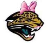 Cougars